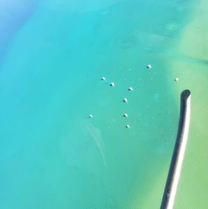 Meet your Posher, Brennan